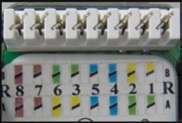EKU EasyLink Datendose, 2xRJ45, UP Cat.6 / ClassE, RAL9010, horizontal