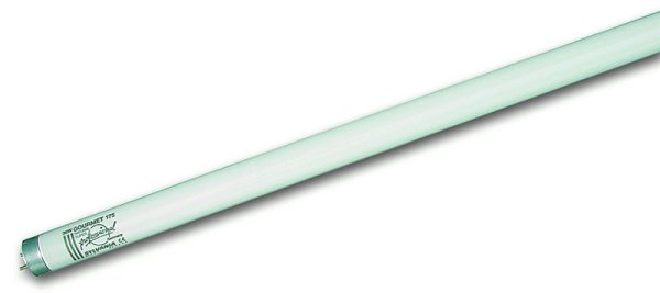 Havells Sylvania T8 Gourmet Leuchtstofflampe F 18W / 175 G13 Fleisch