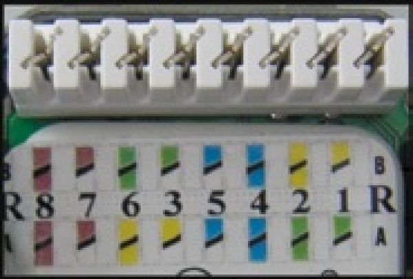 EKU EasyLink Datendose, 2xRJ45, UP Cat.6 / ClassE, RAL9010, horizontal